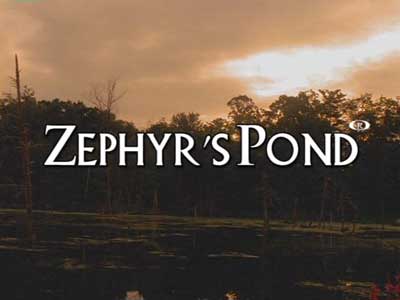 Zephyr's Pond